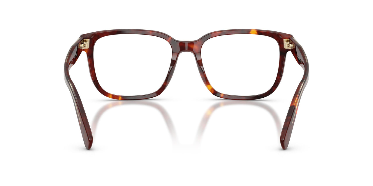 5938 - Tortoise
