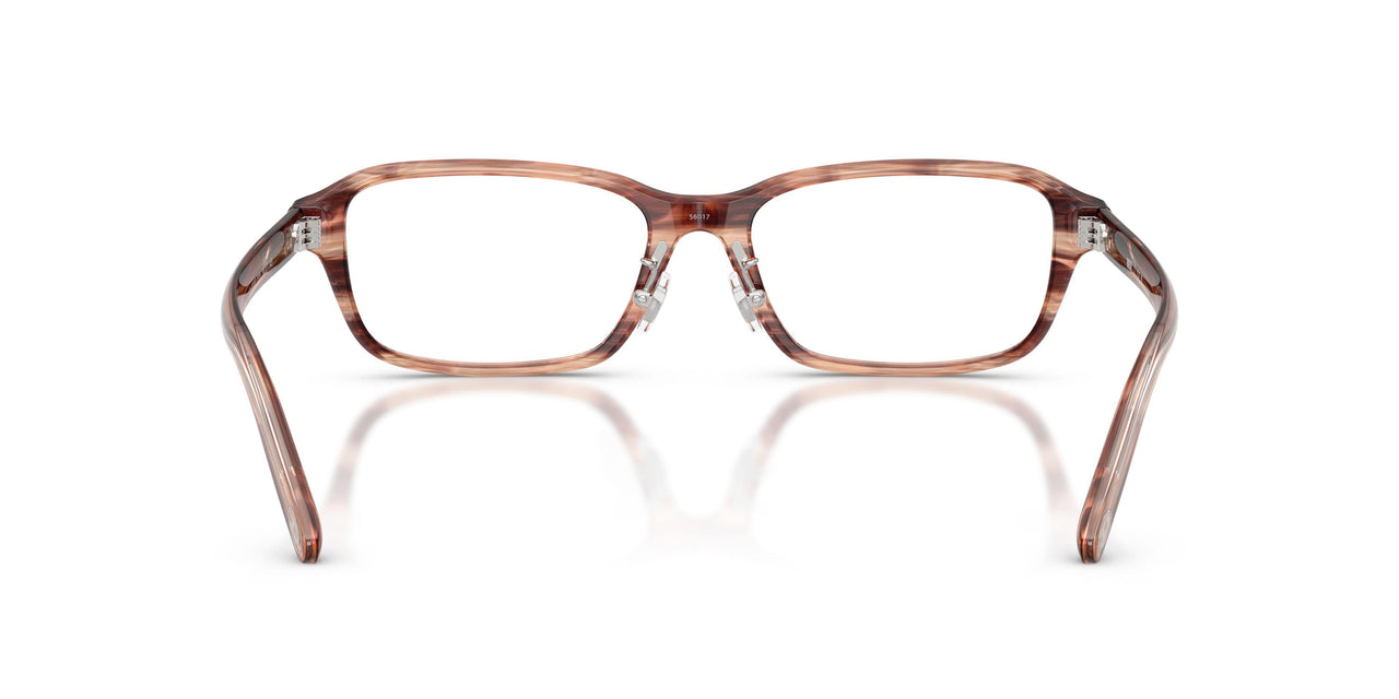 2036 - Brown
