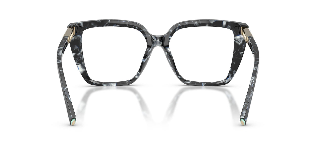 8428 - Tortoise