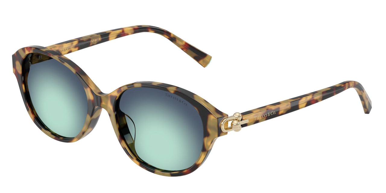 80649S - Tortoise - Gradient Blue