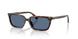 500280 - Tortoise - Blue