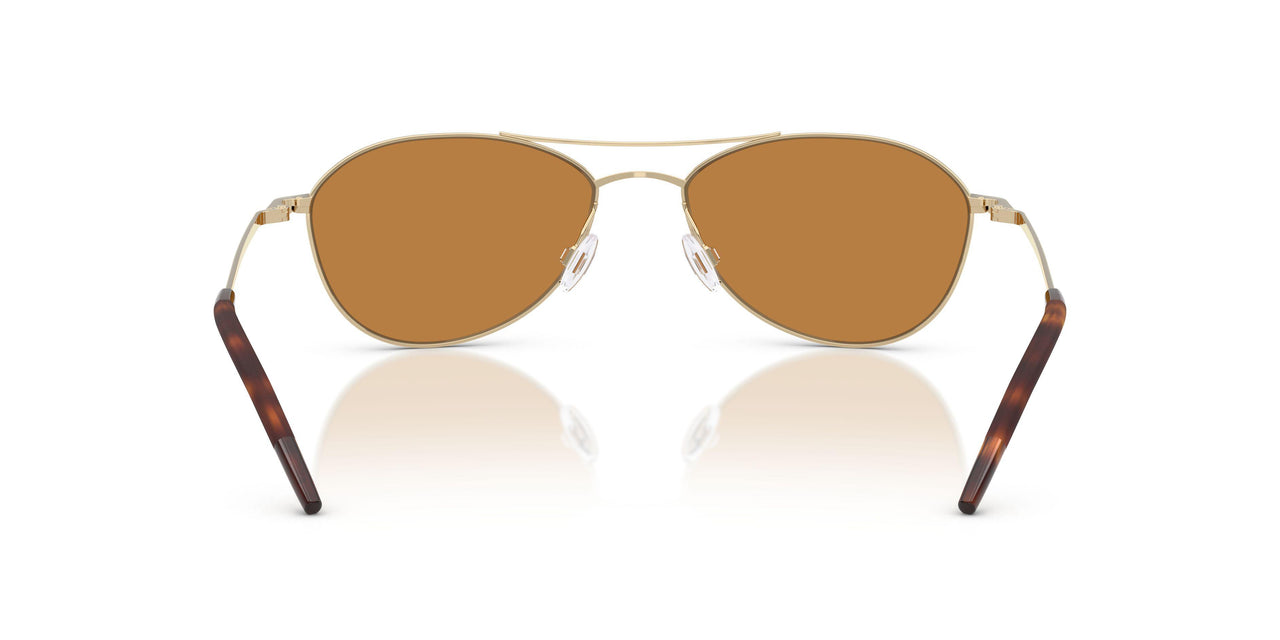 503553 - Gold - Cognac