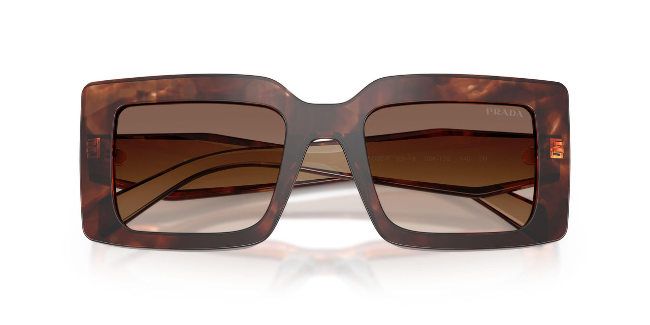 00K10S - Tortoise - Brown Gradient