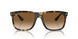 710/51 - Tortoise - Clear/brown