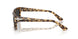 105648 - Tortoise - Polar Black