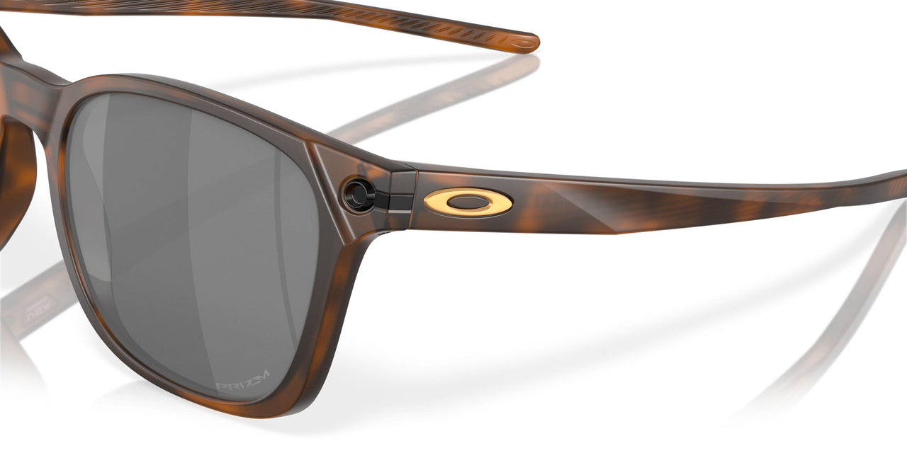901818 - Brown - Prizm Black