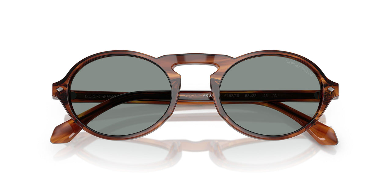 616256 - Tortoise - Blue