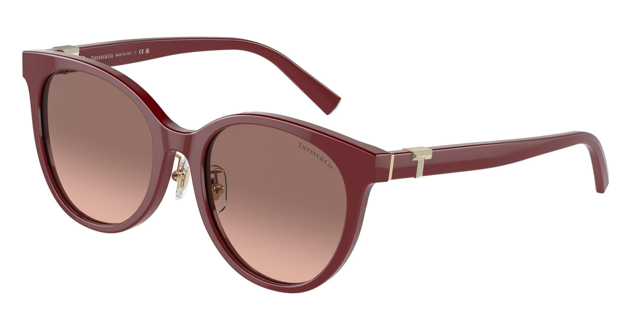 Tiffany 4209D Sunglasses