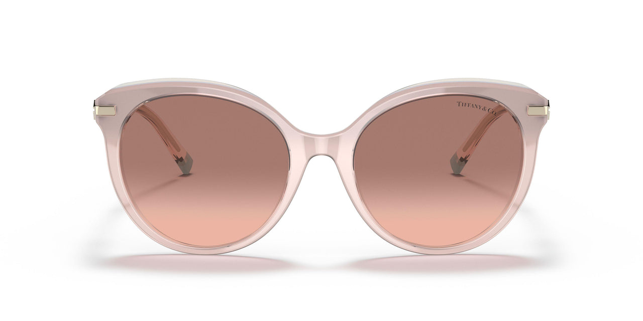833413 - Pink - Pink Gradient Dark Brown