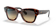 1324BG - Havana - Brown Vintage / 52