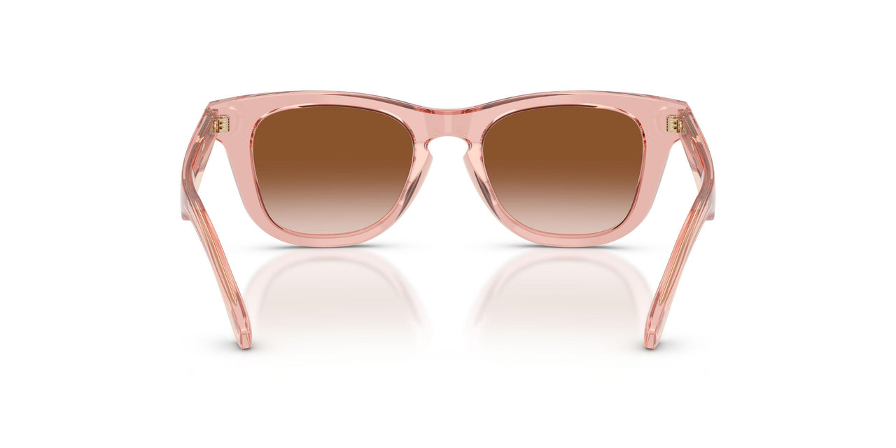 421413 - Pink - Brown Gradient
