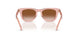 421413 - Pink - Brown Gradient