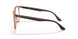 8172 - Brown