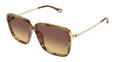 004 - Havana/Gold - Brown