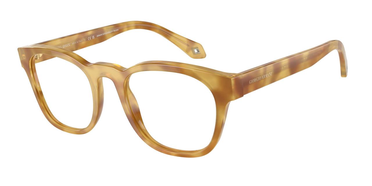 5979 - Tortoise