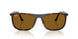 902/33 - Tortoise - Brown