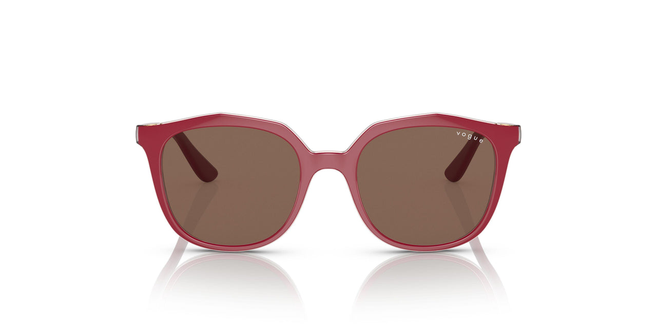 293173 - Pink - Dark Brown