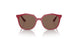 293173 - Pink - Dark Brown