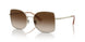 301313 - Gold - Gradient Brown