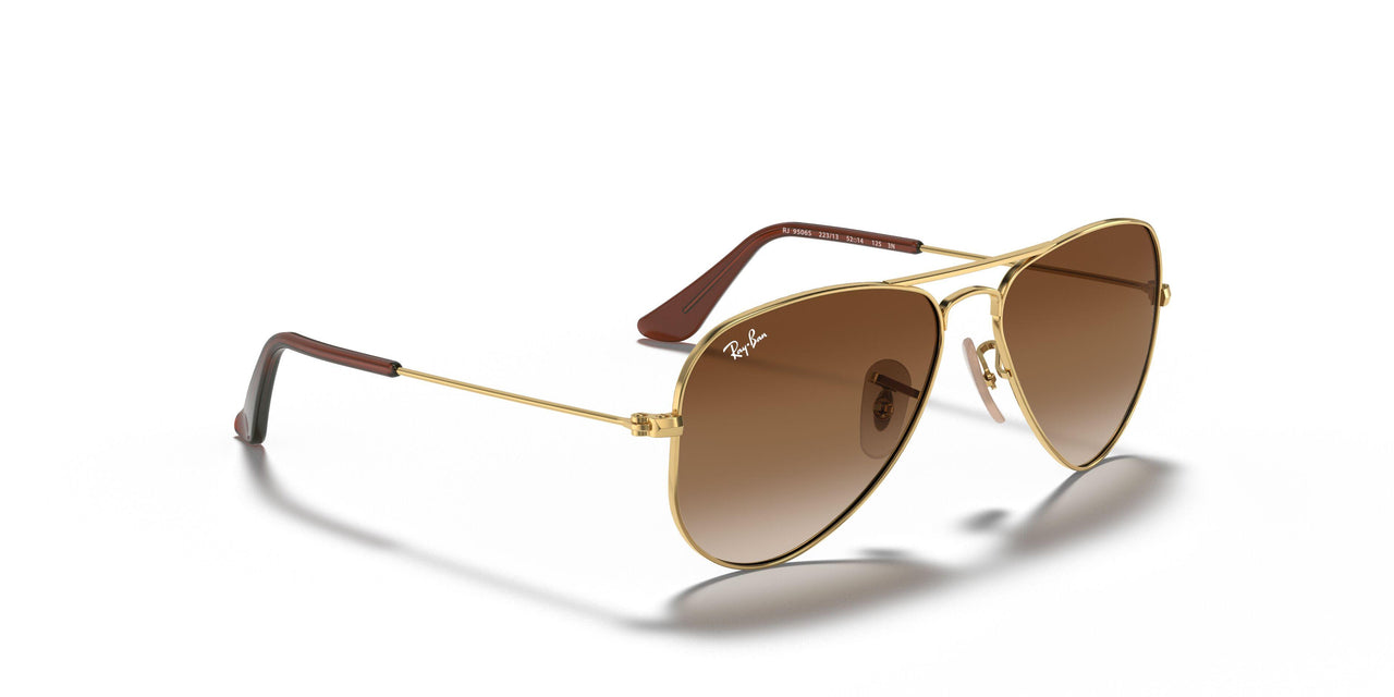 223/13 - Gold - Brown Gradient