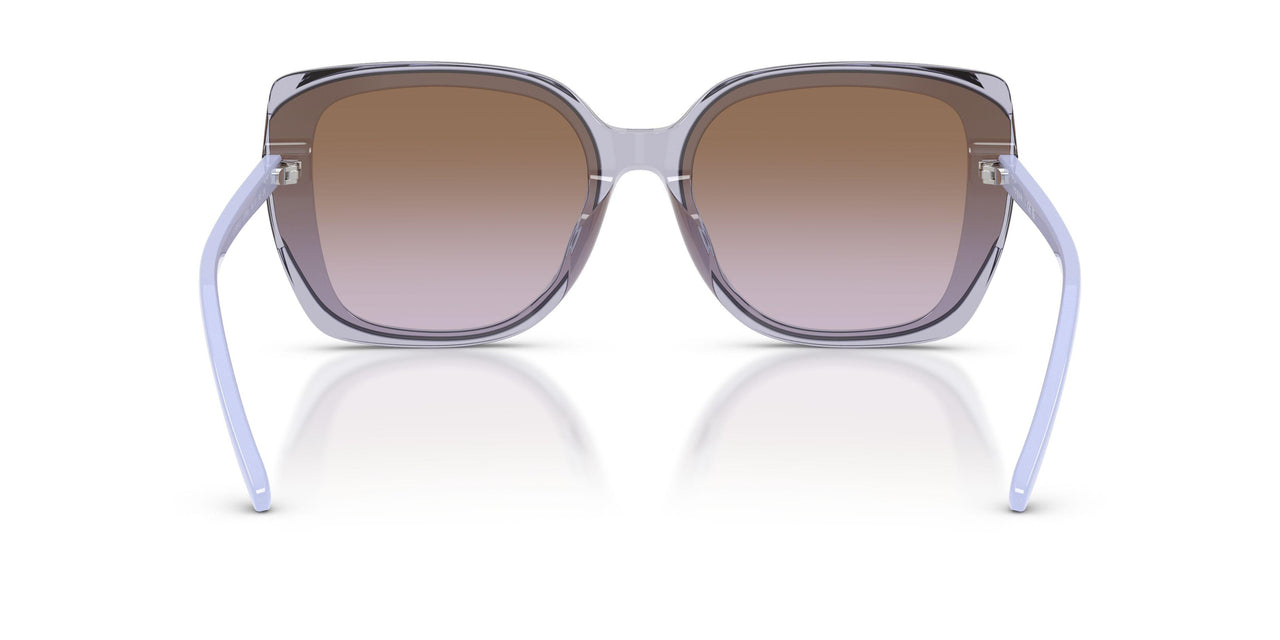 292568 - Violet - Violet Gradient Brown