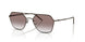343813 - Brown - Brown Gradient