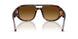 24/85 - Tortoise - Light Brown Gradient Dark Brow