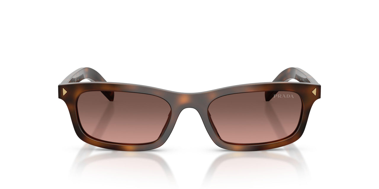 20D11C - Tortoise - Brown Gradient Grey