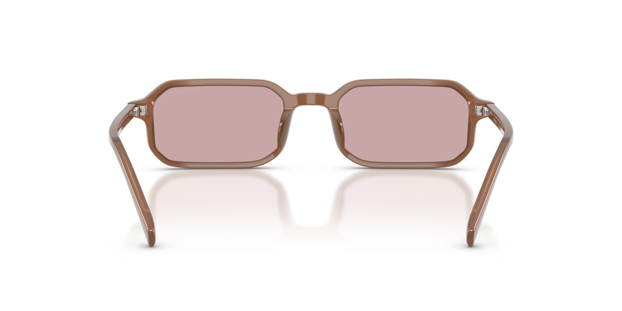 627173 - Brown - Pink