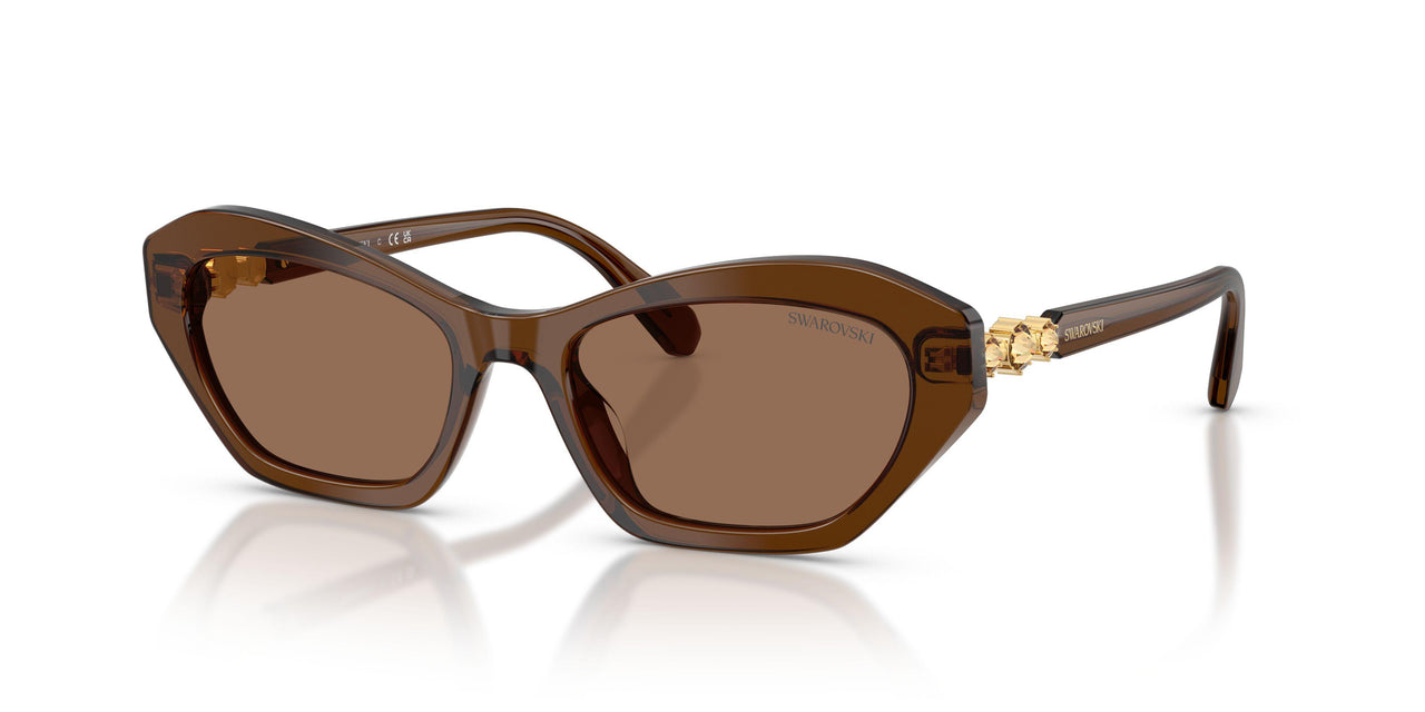 108473 - Brown - Dark Brown