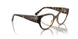 W656 - Brown