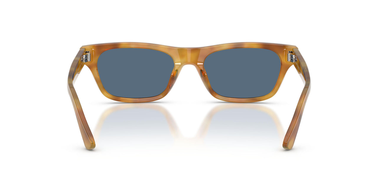 639380 - Tortoise - Dark Blue