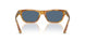 639380 - Tortoise - Dark Blue
