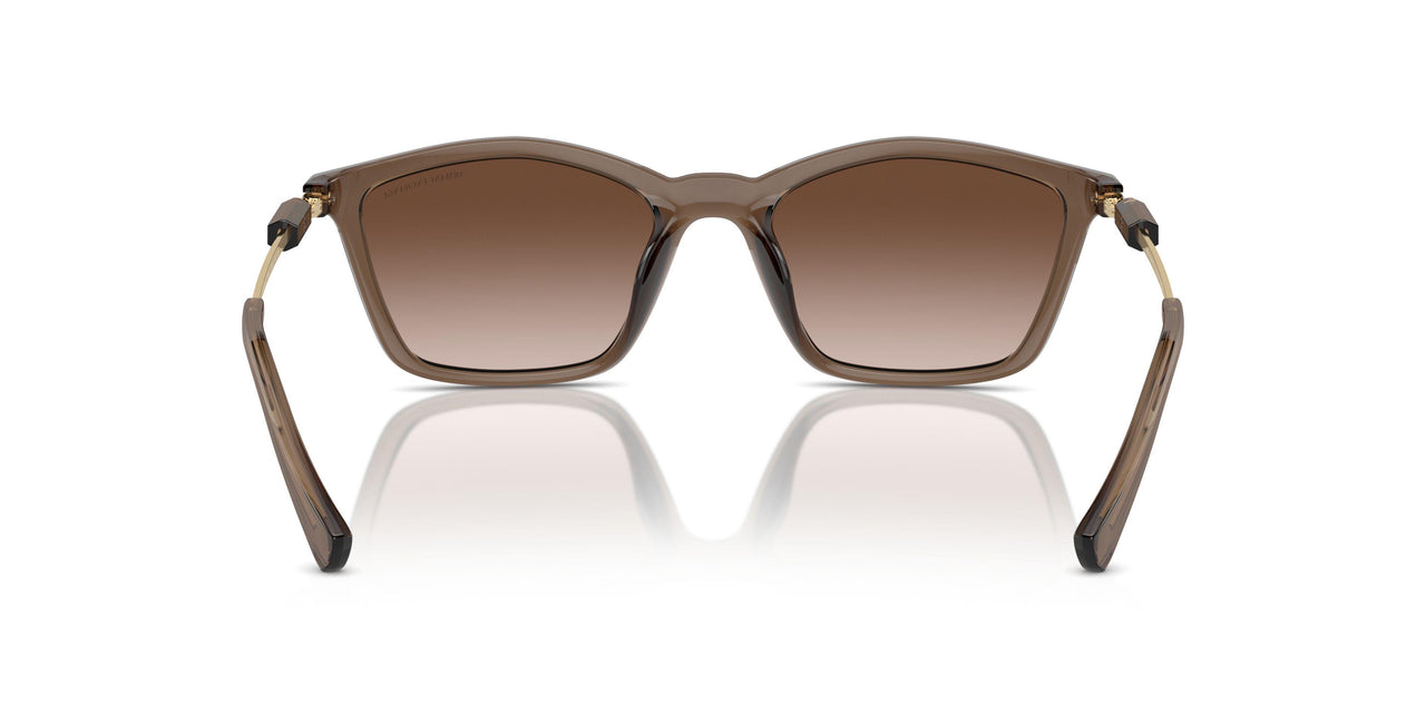 834913 - Brown - Gradient Brown
