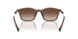834913 - Brown - Gradient Brown
