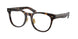 Polo 2264D Eyeglasses