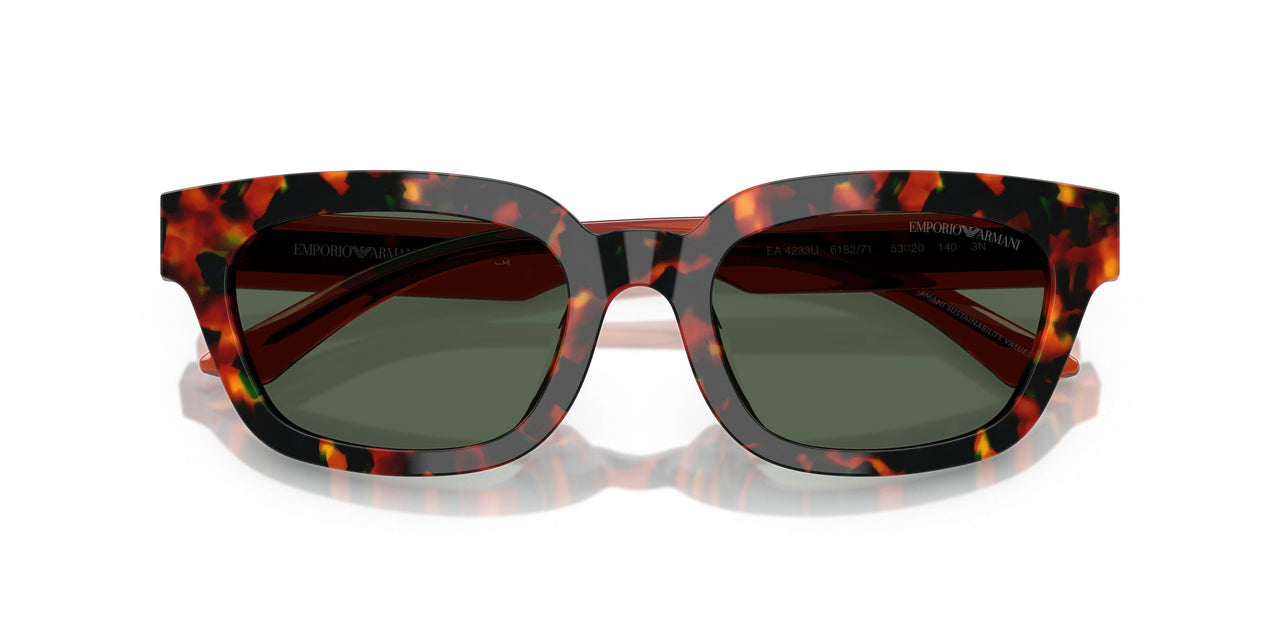 618271 - Tortoise - Dark Green