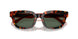 618271 - Tortoise - Dark Green
