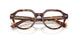 8402 - Tortoise - Clear
