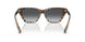 4202T3 - Brown - Gradient Grey Polar