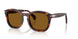 24/33 - Tortoise - Brown