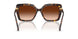 100274 - Tortoise - Brown Gradient