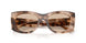 509793 - Tortoise - Light Brown