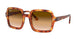 130051 - Red - Clear Gradient Brown