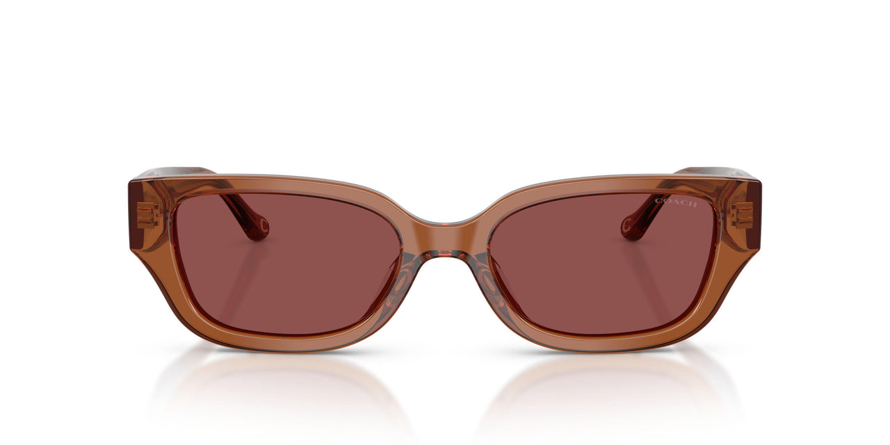 581175 - Brown - Wine Solid
