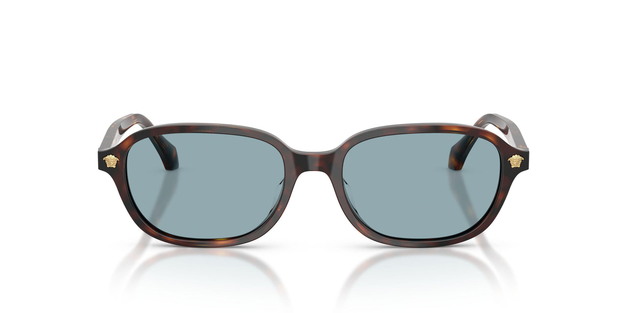 553780 - Brown - Blue