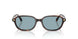 553780 - Brown - Blue
