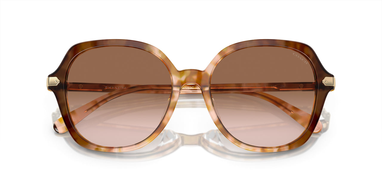 57753C - Brown - Brown Pink Gradient