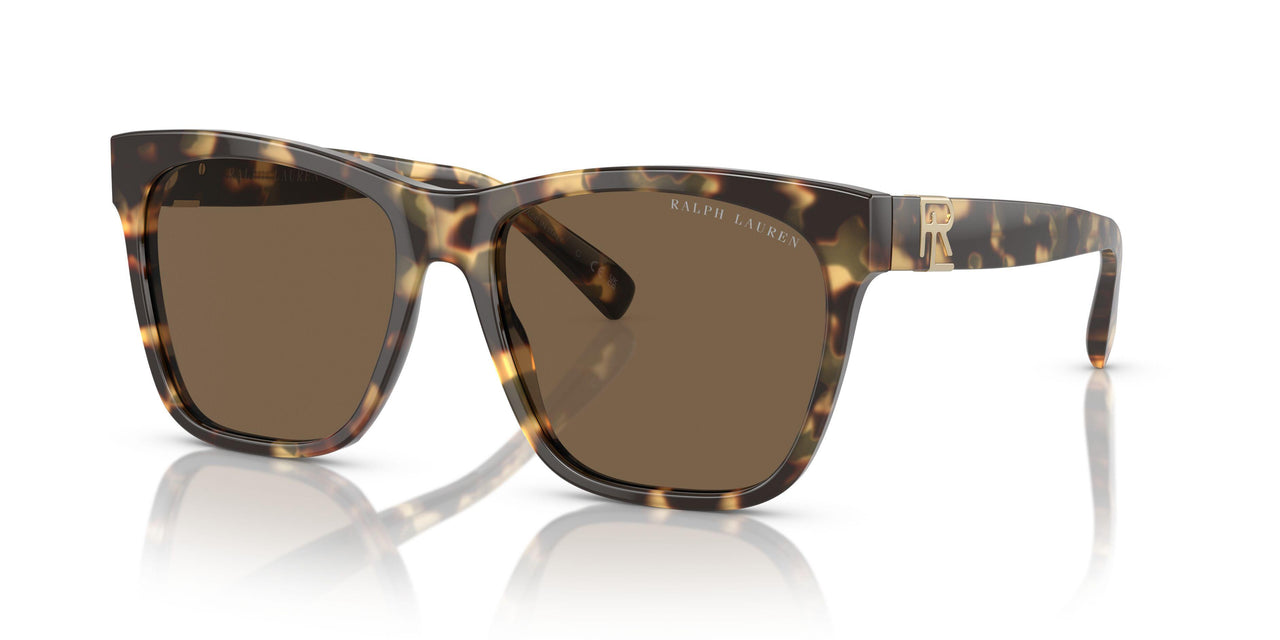 500473 - Tortoise - Brown