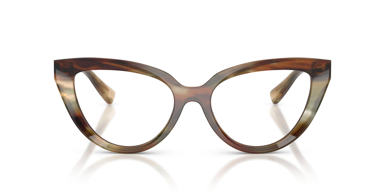 3446 - Brown